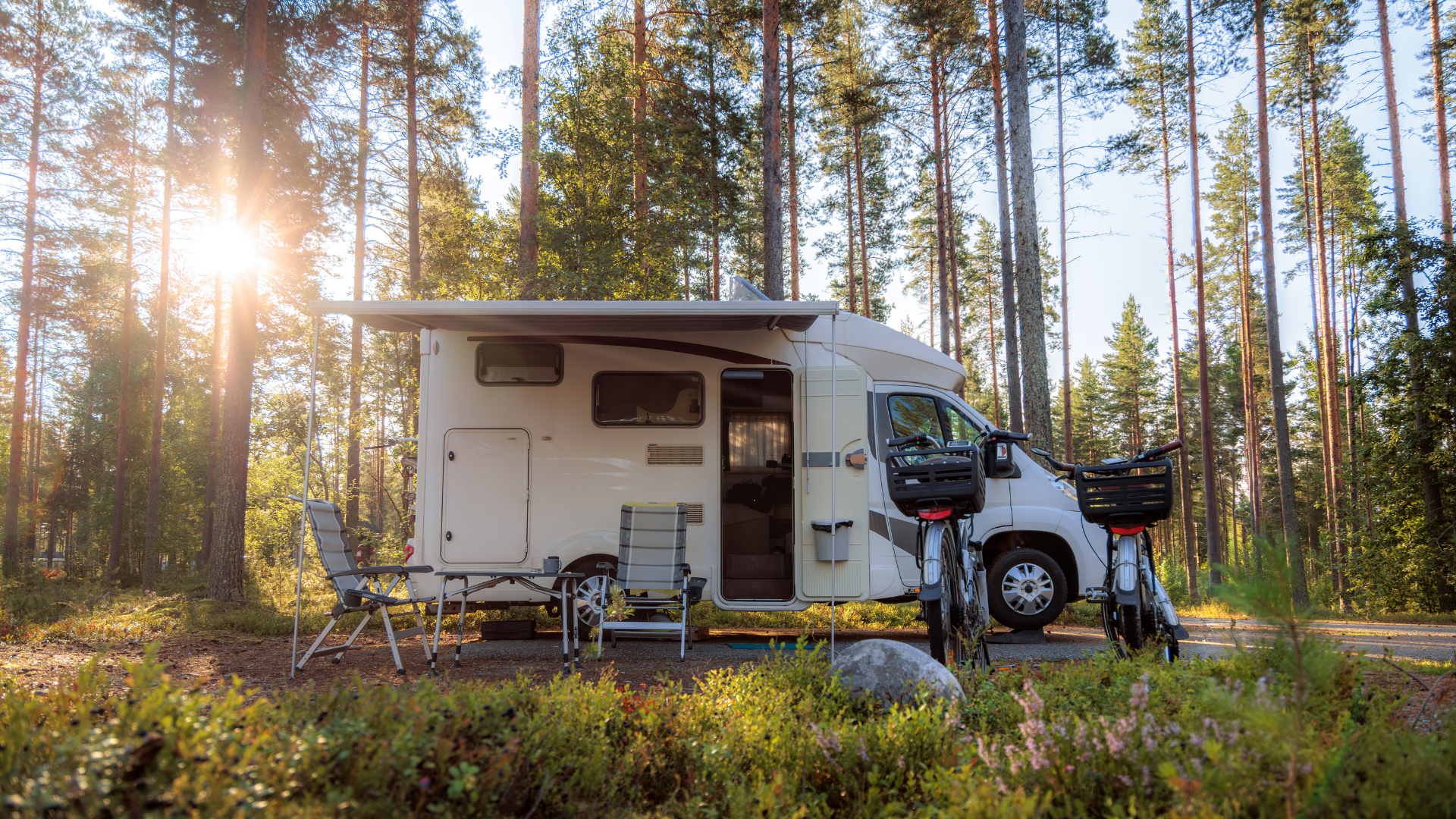 Camping-car installé au milieu d’une forêt de pins